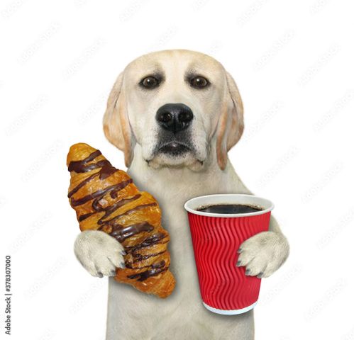 ابزارگذاری خودکار Python FastAPI و مانیتورینگ با Azure Application Insights — خیلی راحت!